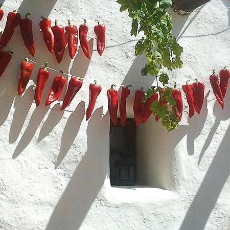 Hotel Rural Cortijo La Alberca Níjar Eksteriør bilde
