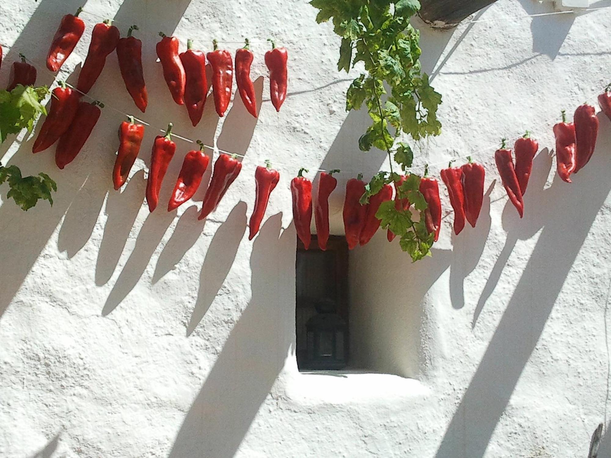 Hotel Rural Cortijo La Alberca Níjar Eksteriør bilde
