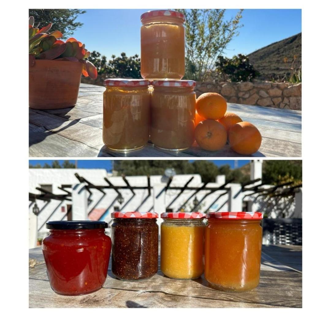 Hotel Rural Cortijo La Alberca Níjar Eksteriør bilde