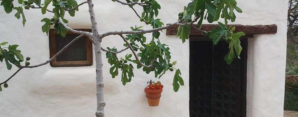 Hotel Rural Cortijo La Alberca Níjar Eksteriør bilde