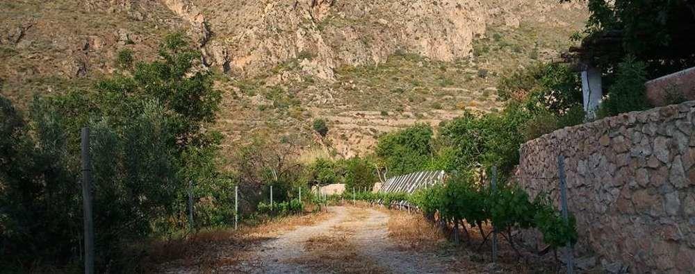 Hotel Rural Cortijo La Alberca Níjar Eksteriør bilde
